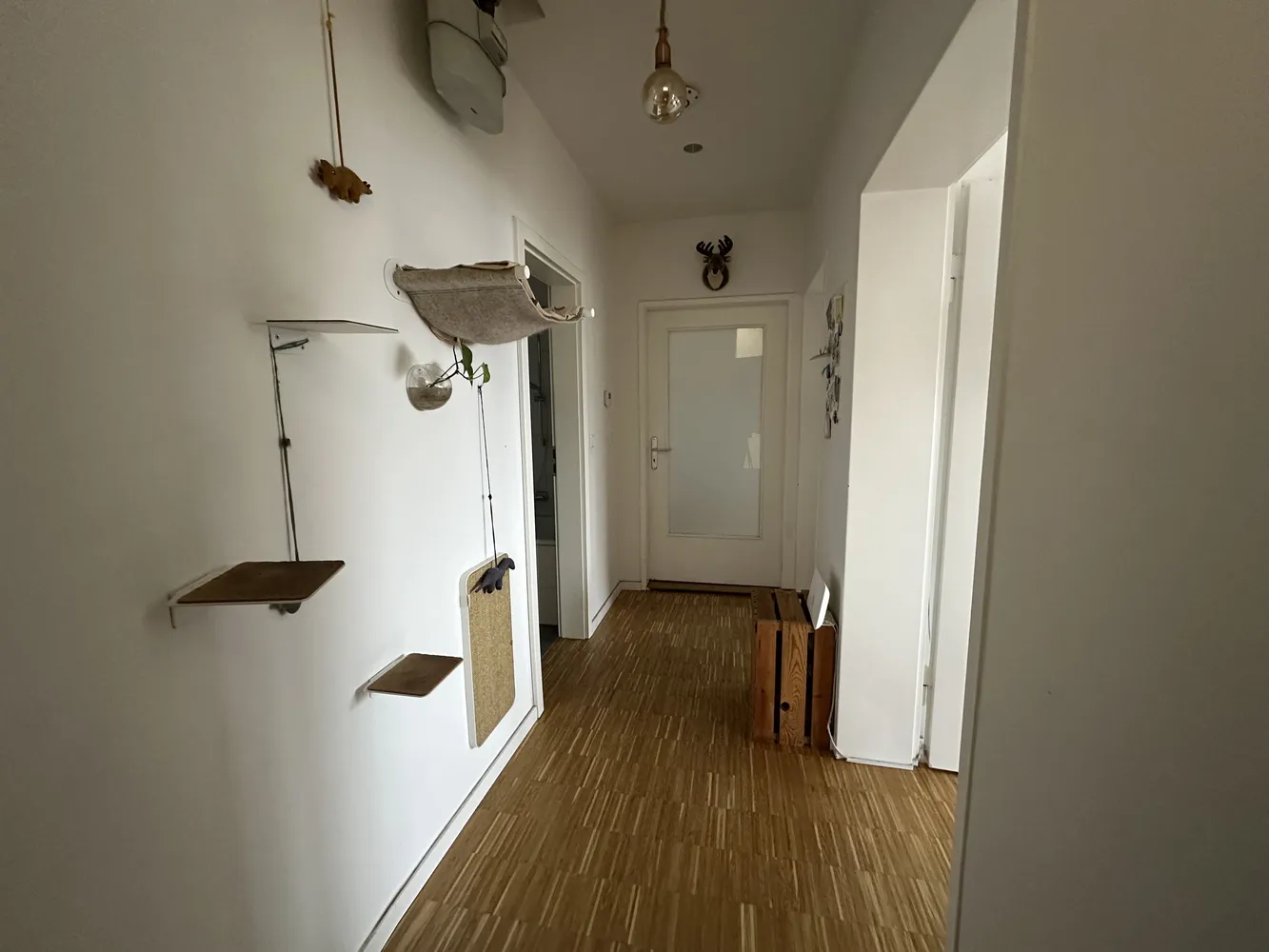 3 Zimmer Wohnung mit 70 m² in Mannheim – Bild 5