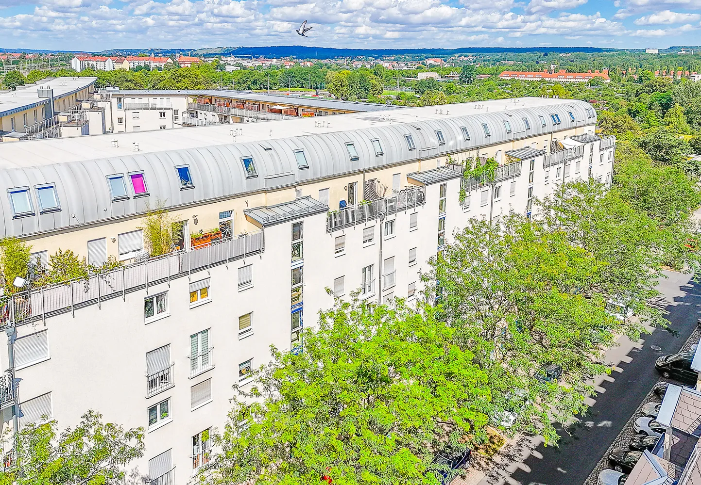 2 Zimmer Wohnung mit 87 m² in Dresden – Bild 1