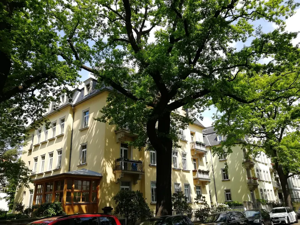 WG-Zimmer mit 110 m² in Dresden – Bild 4