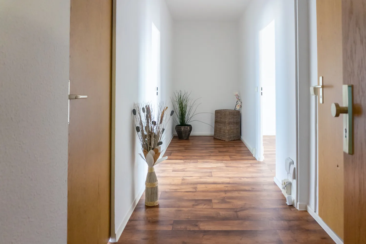 3 room apartment with 70 m² in Chemnitz – Photo 2
