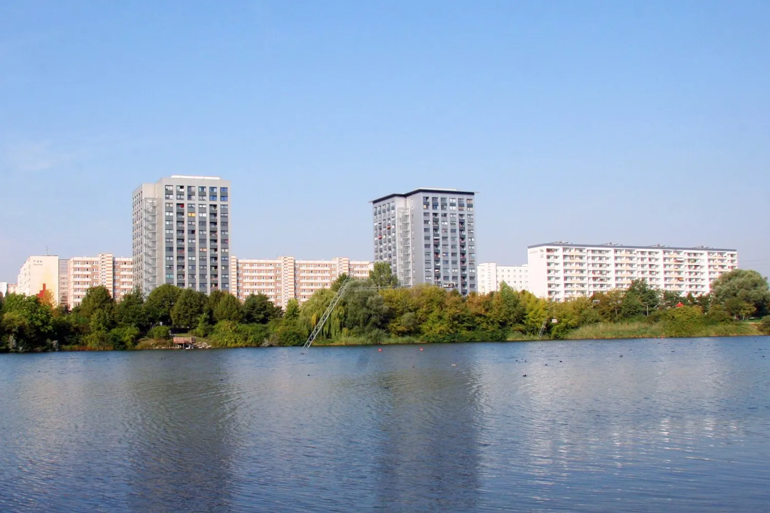 1 Zimmer Wohnung mit 43 m² in Magdeburg – Bild 3