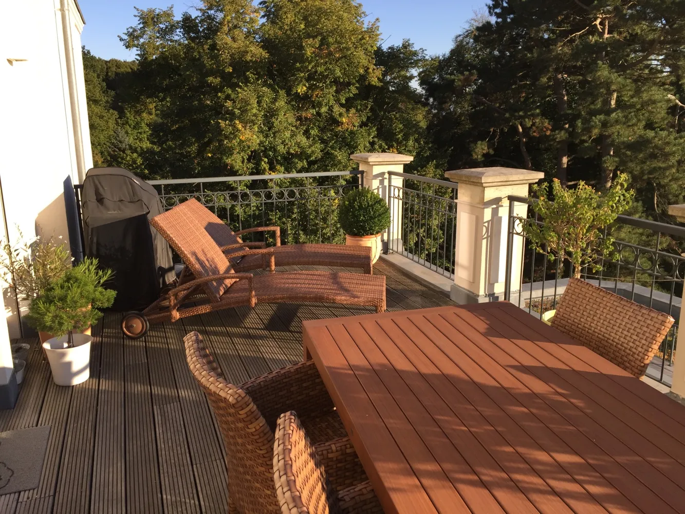 6 Zimmer Wohnung mit 227 m² in Dresden – Bild 3