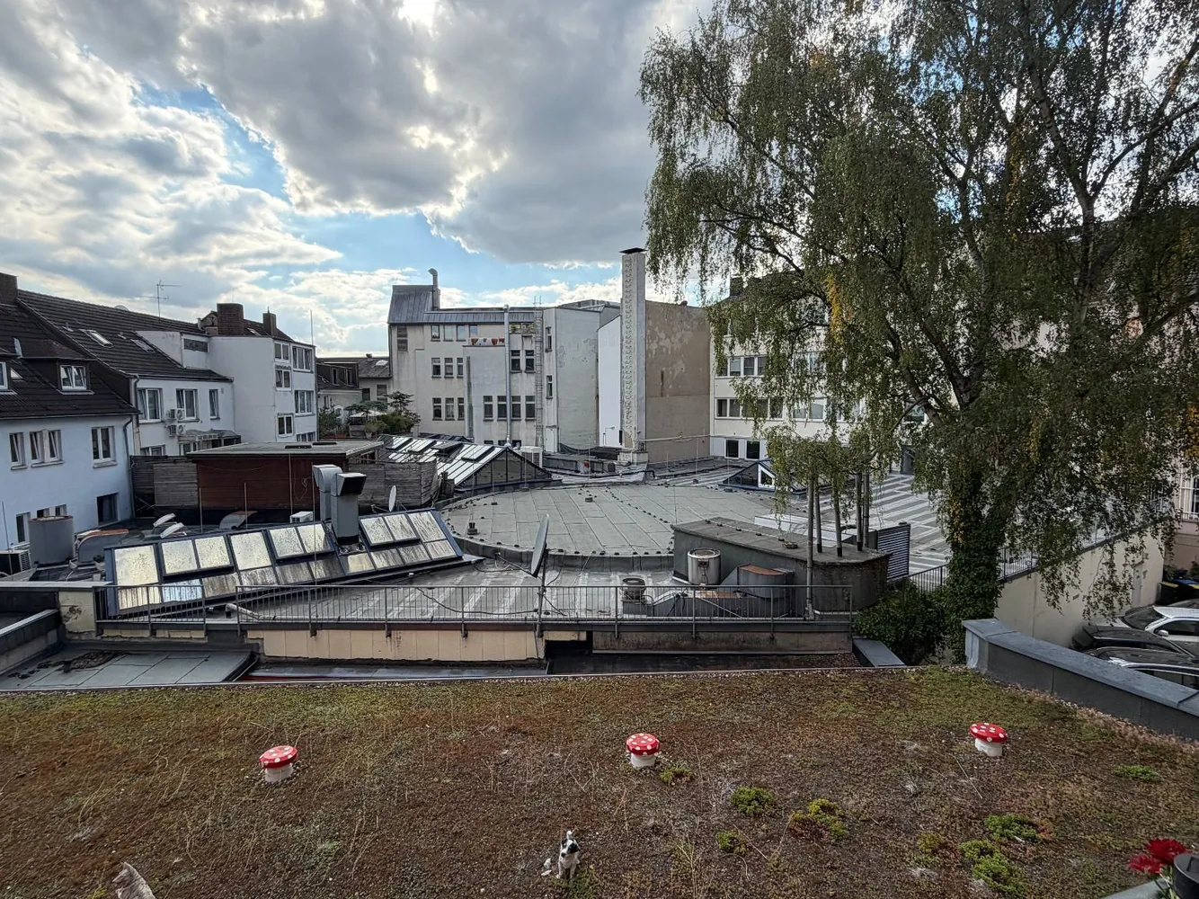 3 Zimmer Wohnung mit 101 m² in Essen – Bild 11