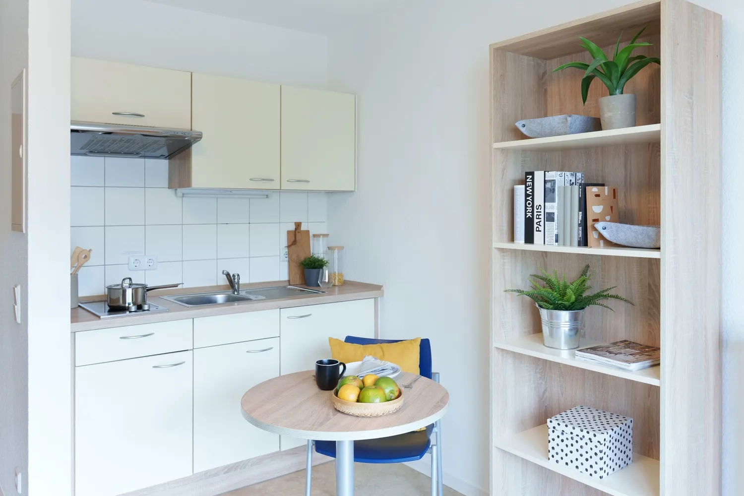 1 Zimmer Wohnung mit 25 m² in Dresden – Bild 4