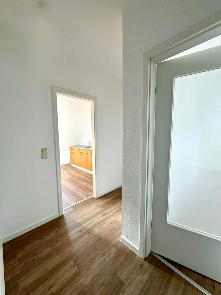 2 room apartment with 53 m² in Dresden – Photo 4