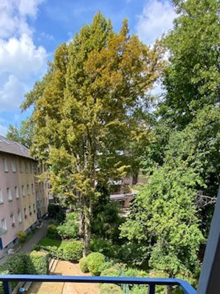 2 Zimmer Wohnung mit 55 m² in Düsseldorf – Bild 1