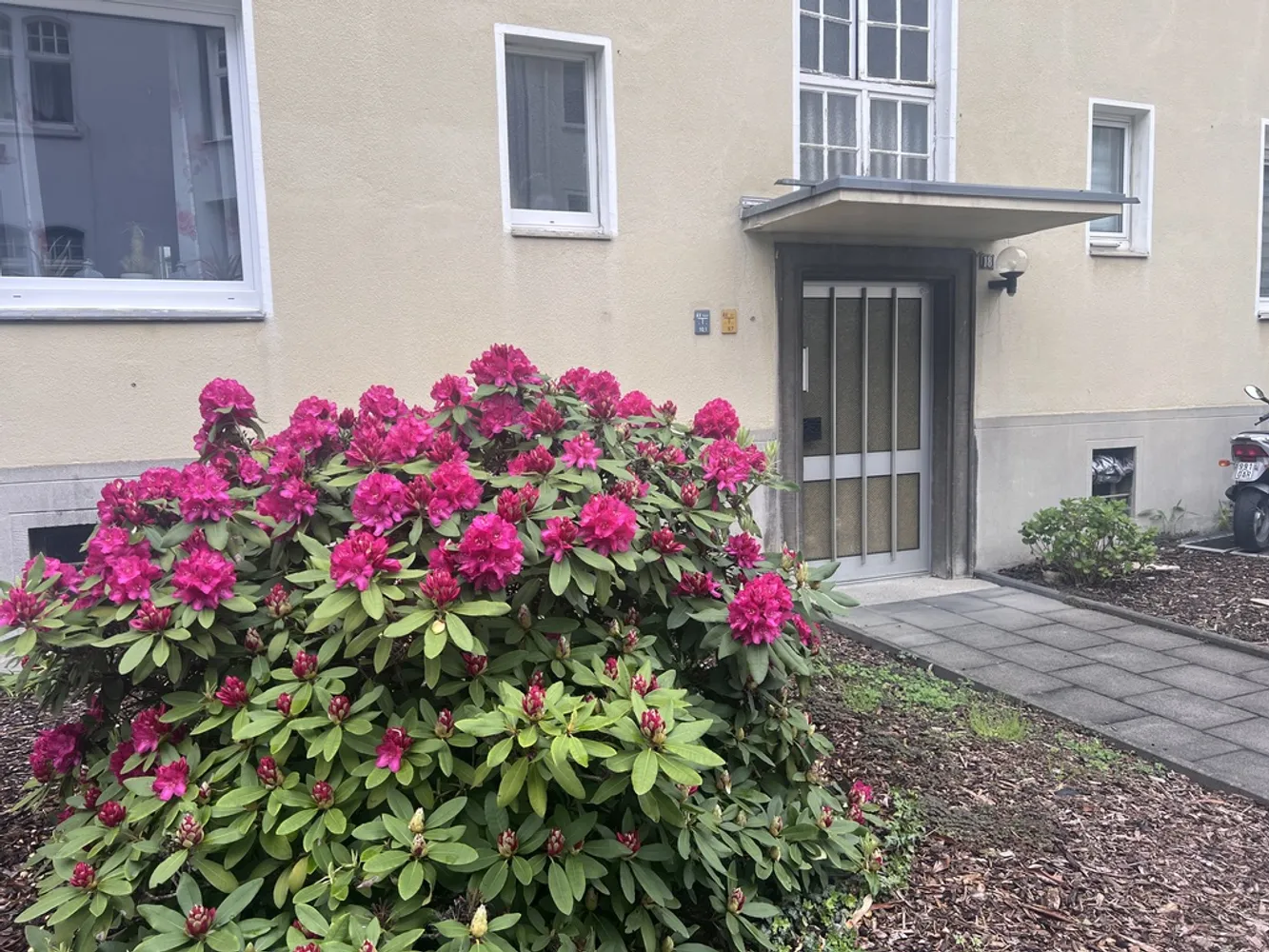 2 Zimmer Wohnung mit 52 m² in Essen – Bild 1