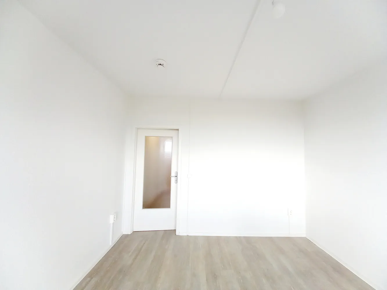 1 Zimmer Wohnung mit 26 m² in Dresden – Bild 5