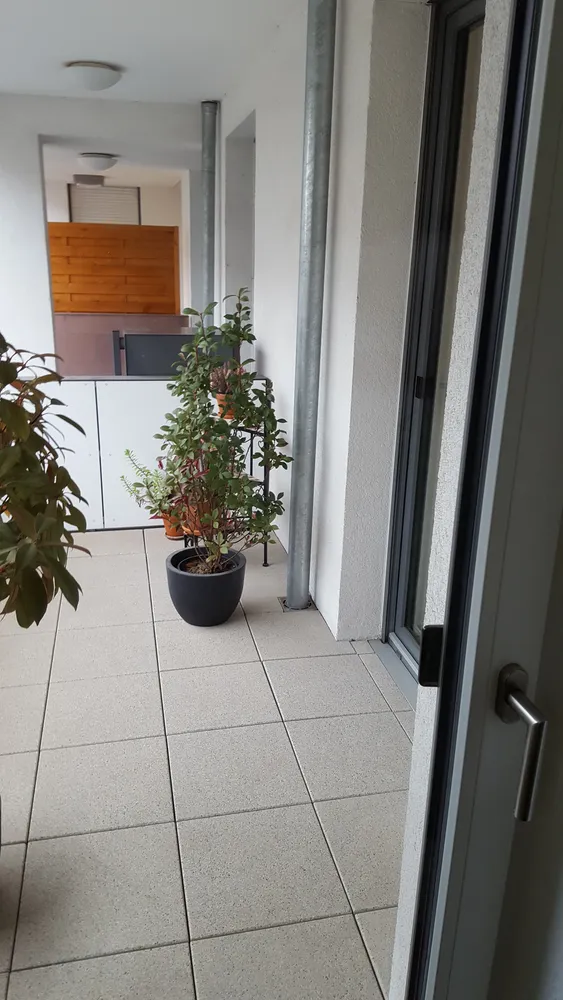 2 Zimmer Wohnung mit 69 m² in Heidelberg – Bild 4