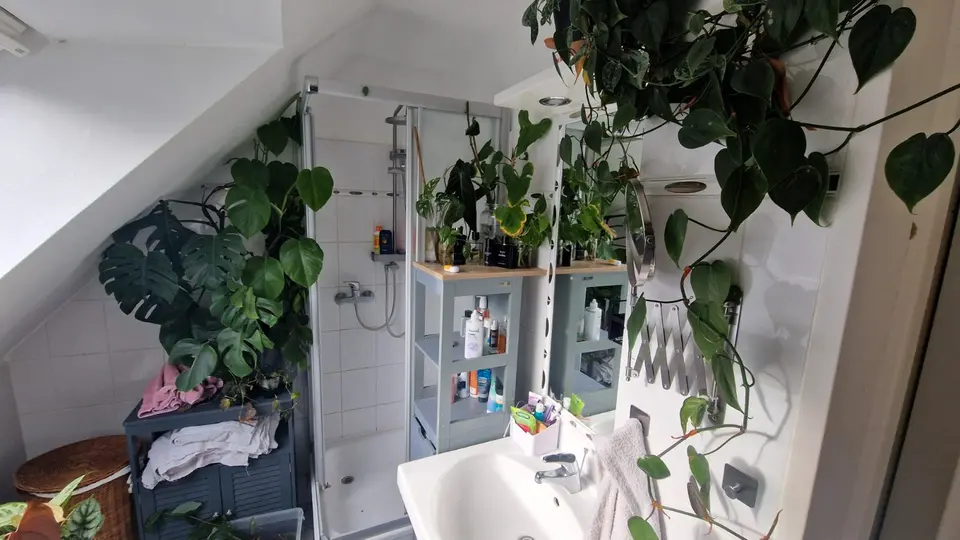 WG-Zimmer mit 55 m² in Frechen – Bild 8