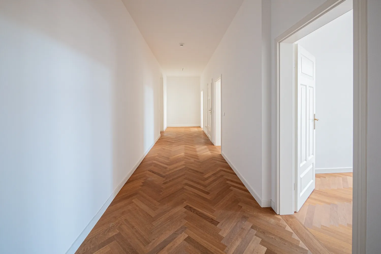 3 Zimmer Wohnung mit 85 m² in Dresden – Bild 3