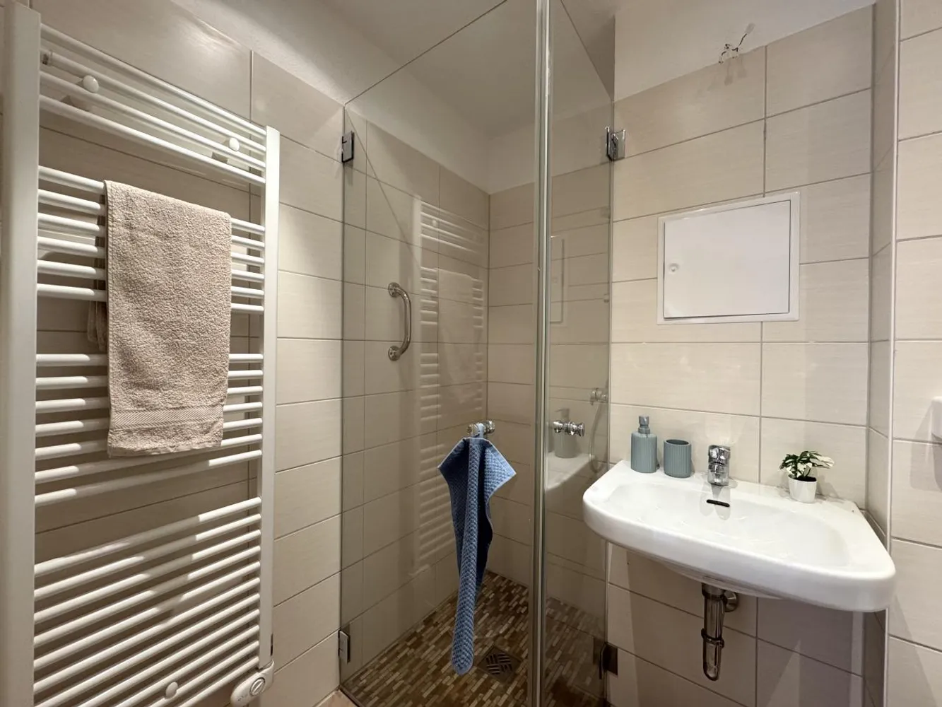 2 room apartment with 46 m² in Chemnitz – Photo 6