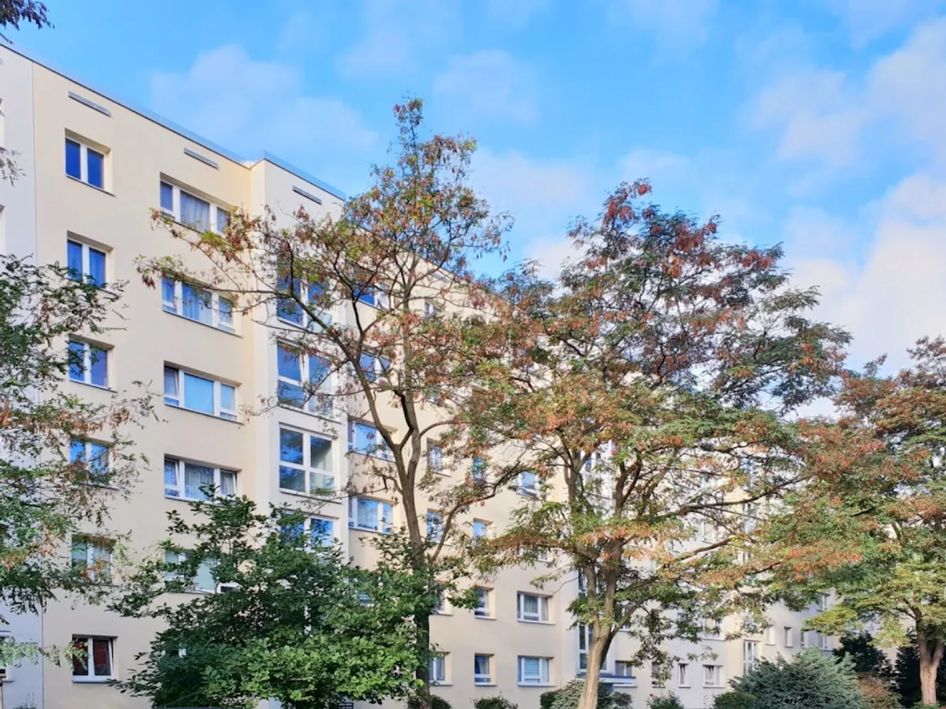 3 Zimmer Wohnung mit 67 m² in Dresden – Bild 9