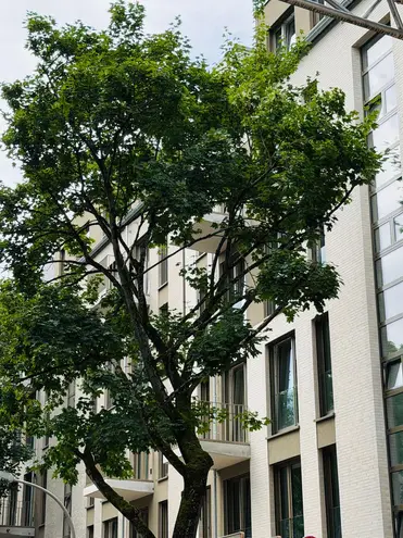 1 Zimmer Wohnung mit 52 m² in Düsseldorf – Bild 9