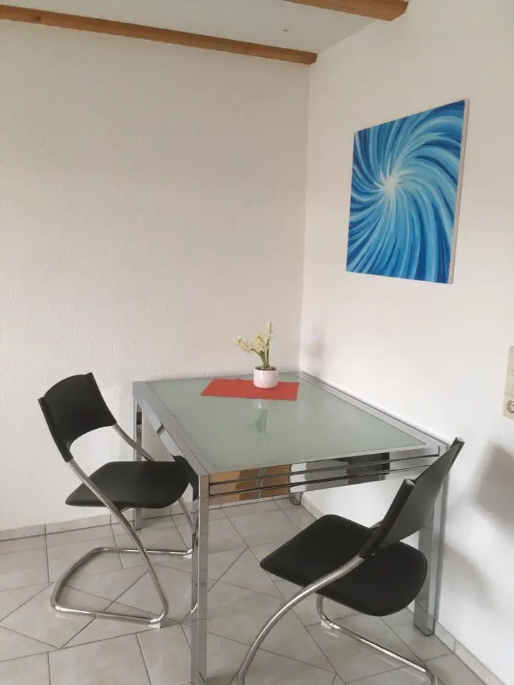 Studio mit 46 m² in Waldshut-Tiengen – Bild 7