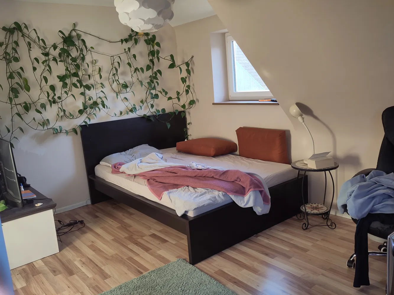 3 Zimmer Wohnung mit 72 m² in Freiburg im Breisgau – Bild 4