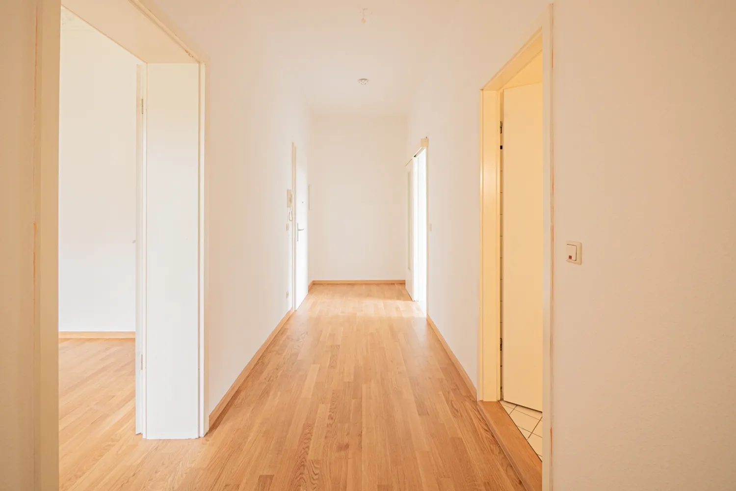 2 Zimmer Wohnung mit 59 m² in Dresden – Bild 5