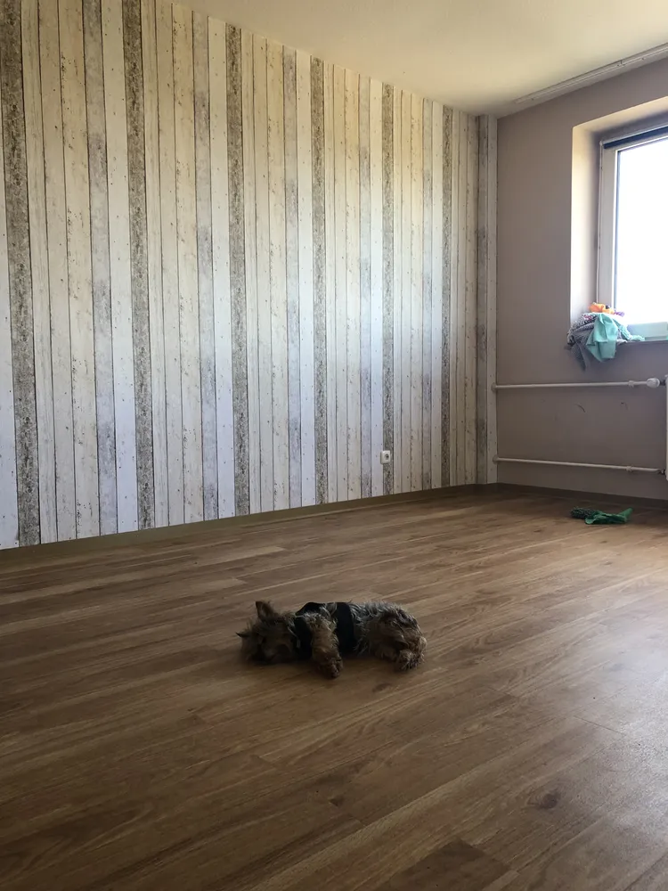 3 Zimmer Wohnung mit 80 m² in Duisburg – Bild 2