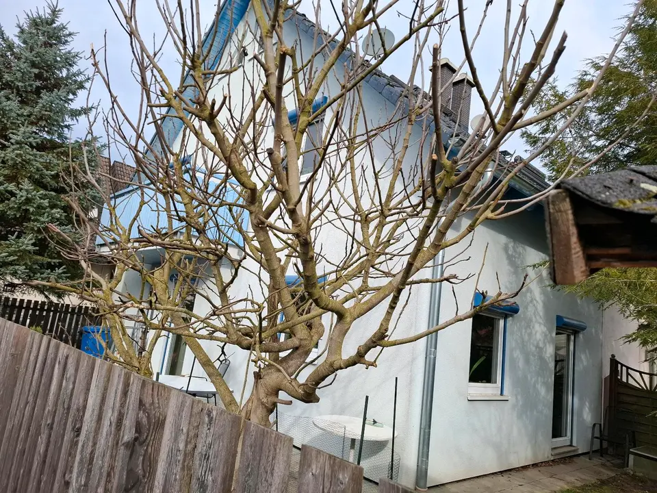 WG-Zimmer mit 100 m² in Emmendingen – Bild 3