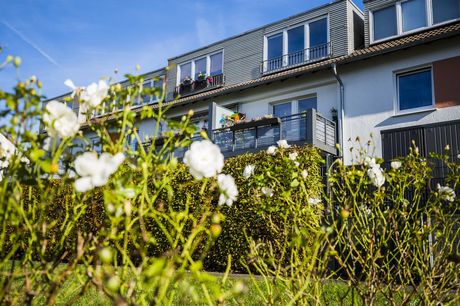 2 Zimmer Wohnung mit 49 m² in Dortmund – Bild 2