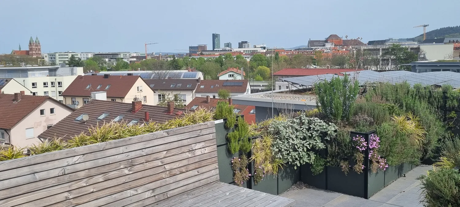1 Zimmer Wohnung mit 22 m² in Freiburg im Breisgau – Bild 7