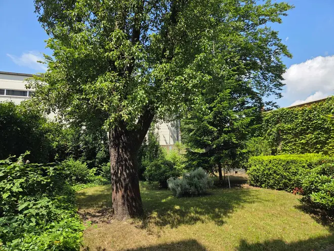 2 Zimmer Wohnung mit 67 m² in Leipzig – Bild 8
