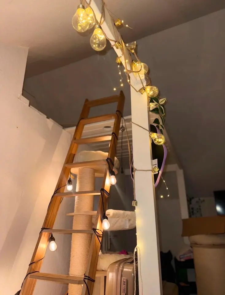 3 Zimmer Wohnung mit 50 m² in Oldenburg – Bild 6