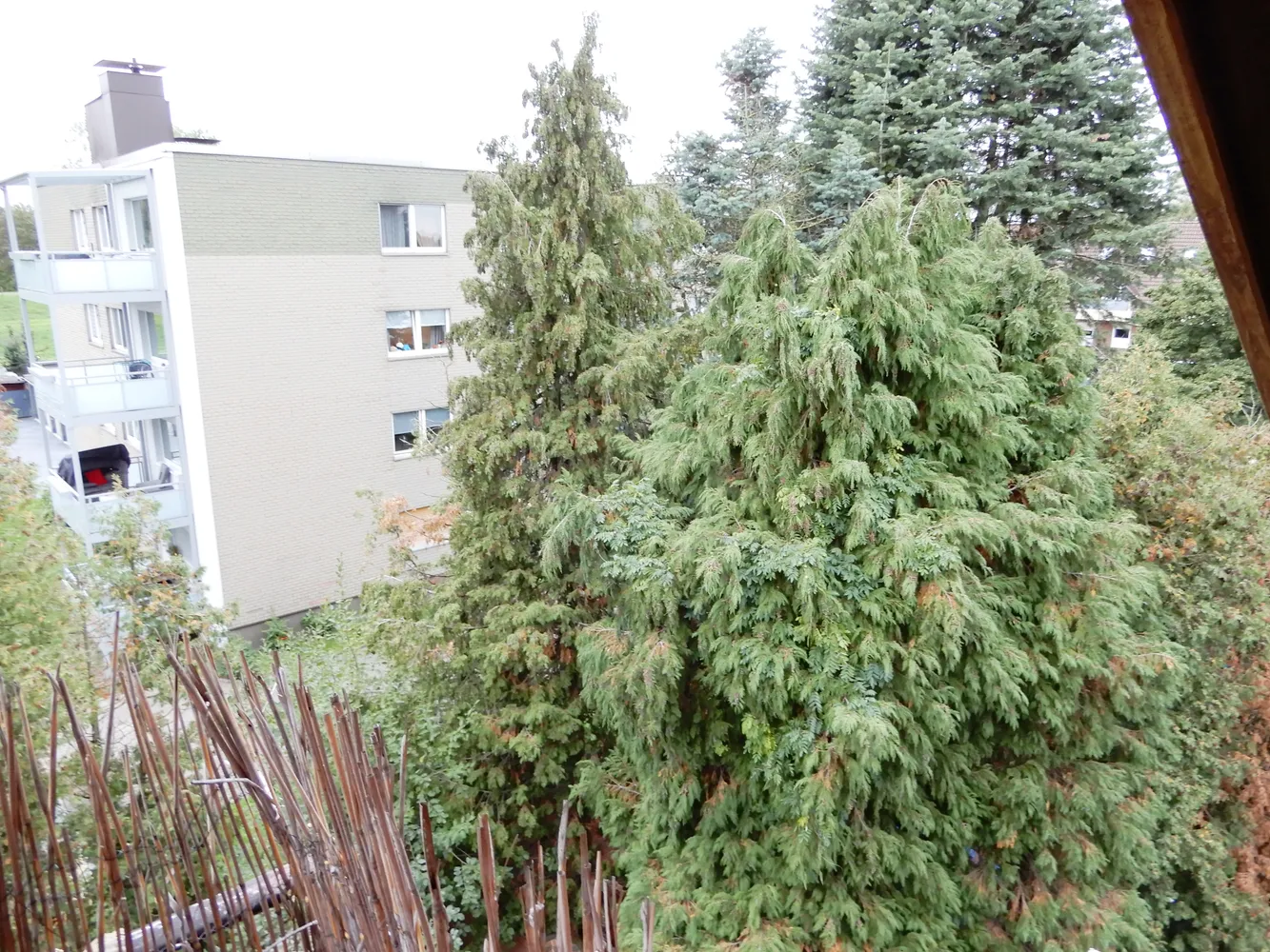 3 Zimmer Wohnung mit 72 m² in Oberhausen – Bild 4