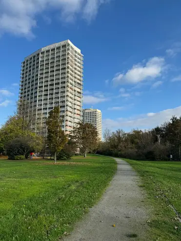 4 Zimmer Wohnung mit 104 m² in Ludwigshafen am Rhein – Bild 6