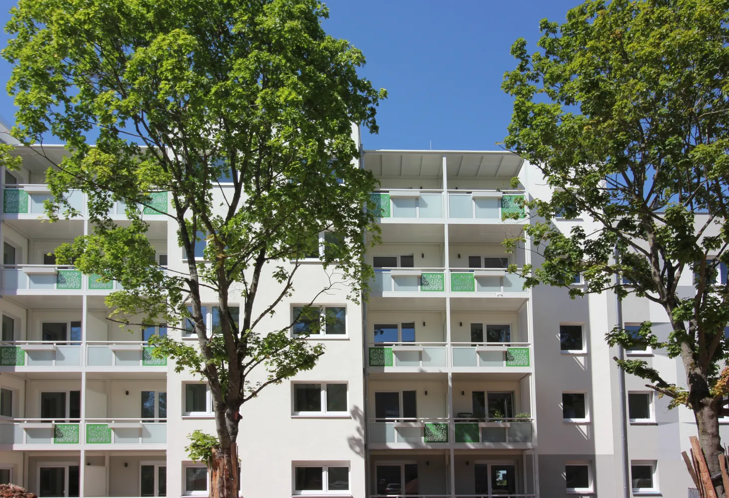 4 Zimmer Wohnung mit 108 m² in Chemnitz – Bild 6