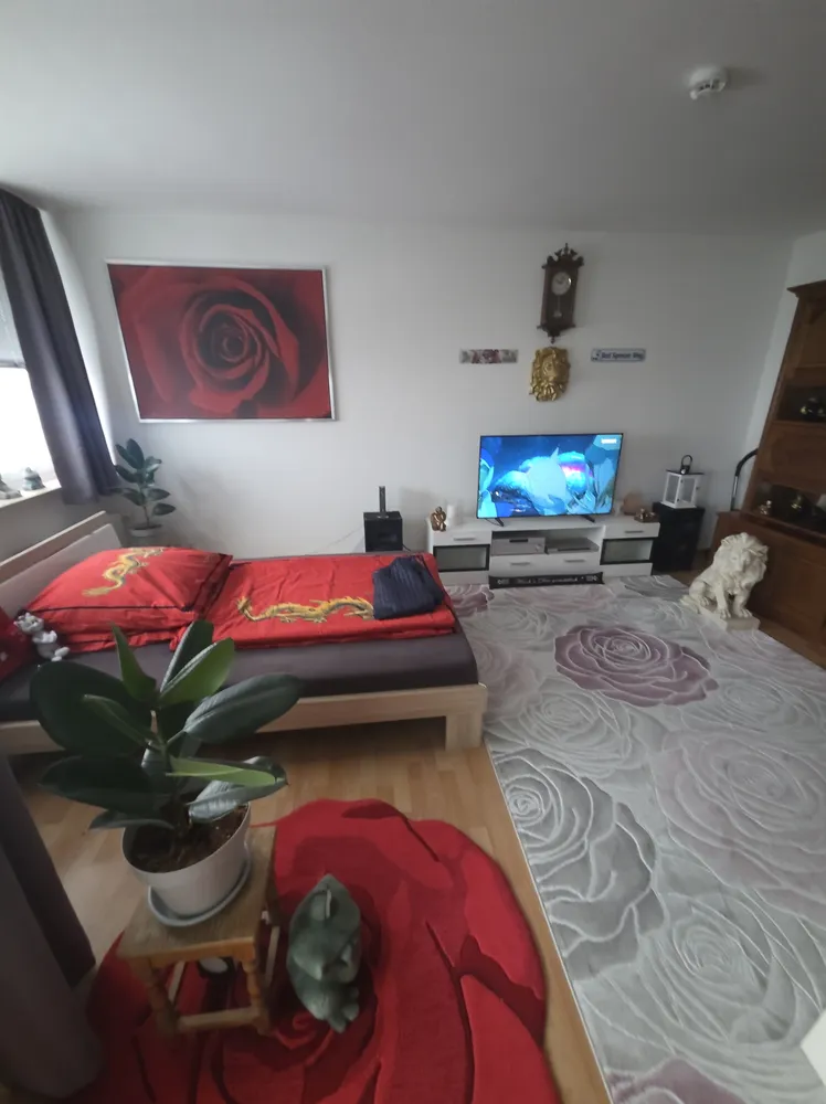 1 Zimmer Wohnung mit 33 m² in Hannover – Bild 2