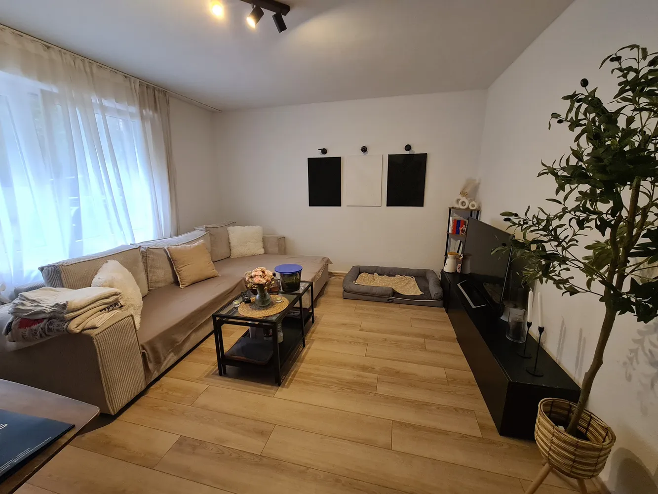 3 Zimmer Wohnung mit 53 m² in Gelsenkirchen – Bild 1