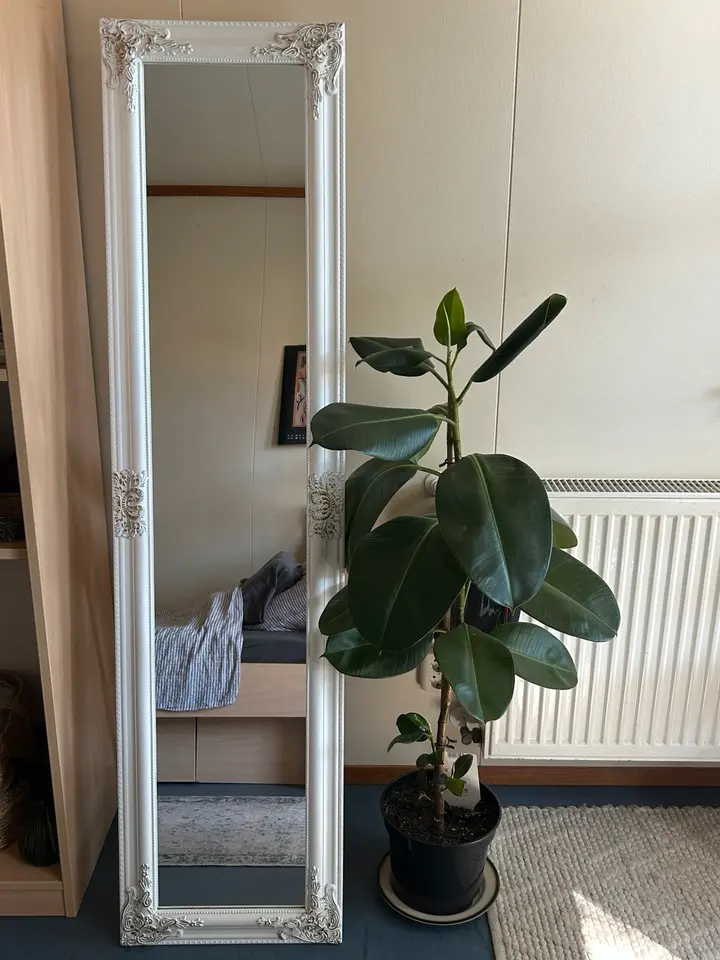 WG-Zimmer mit 19 m² in Stralsund – Bild 6