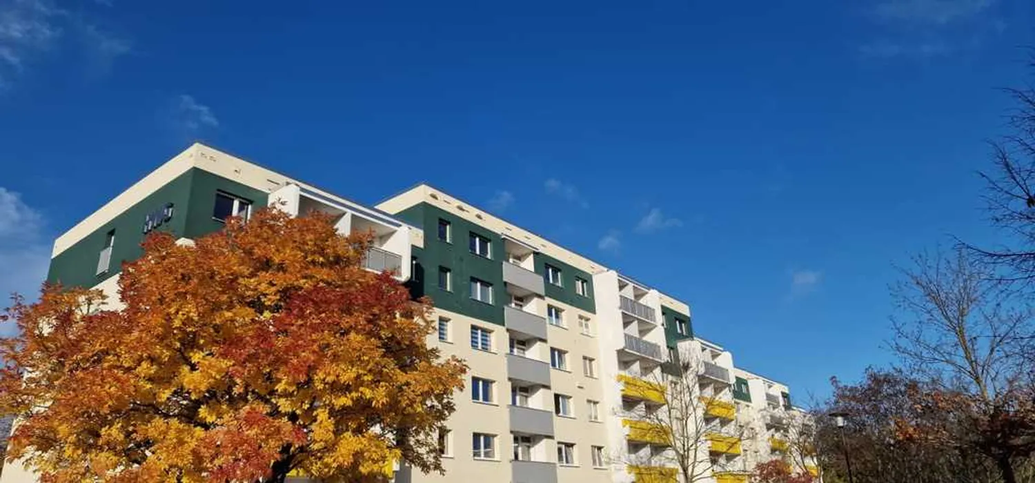 1 Zimmer Wohnung mit 31 m² in Halle (Saale) – Bild 6