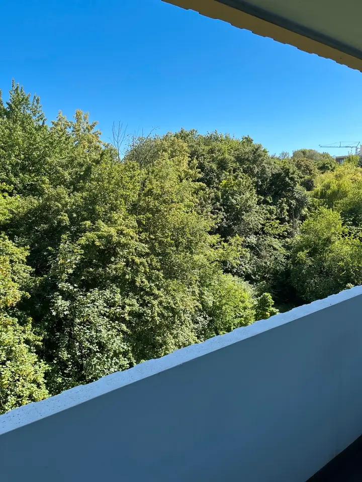 2 Zimmer Wohnung mit 42 m² in Mainz – Bild 4