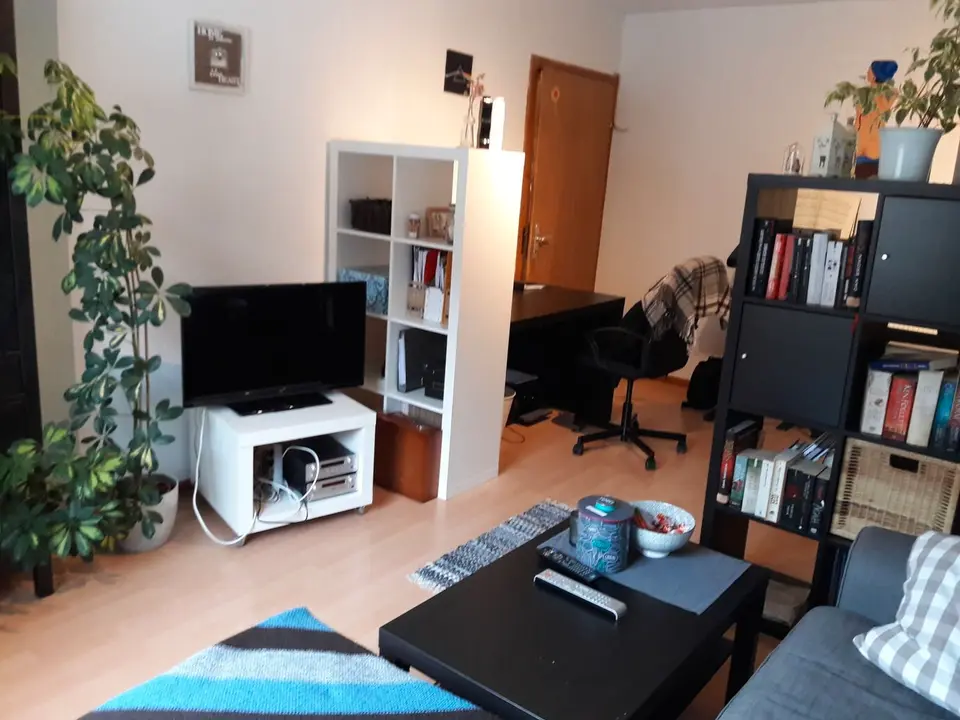 2 Zimmer Wohnung mit 48 m² in Gießen – Bild 1