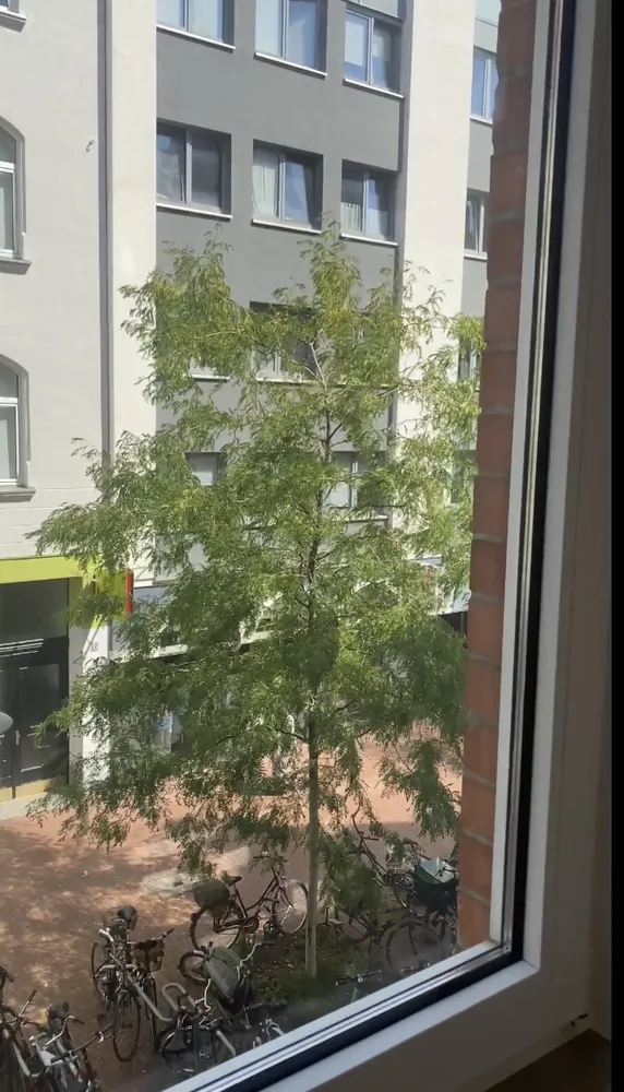 4 room apartment with 90 m² in Hanover – Photo 7