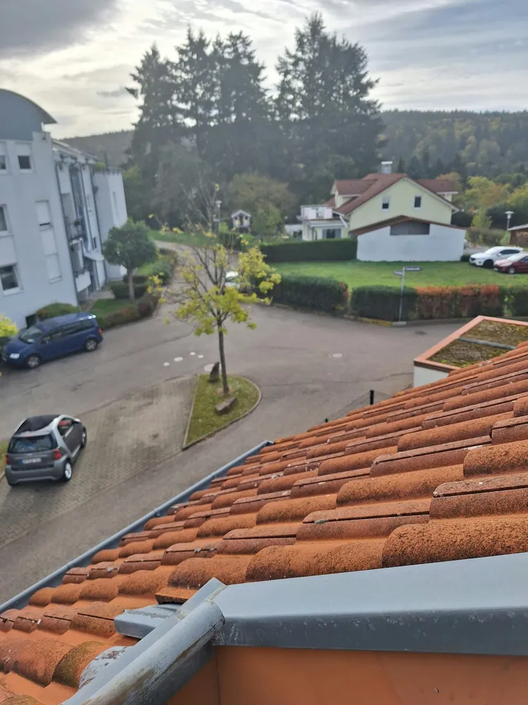 2 Zimmer Wohnung mit 55 m² in Pforzheim – Bild 3