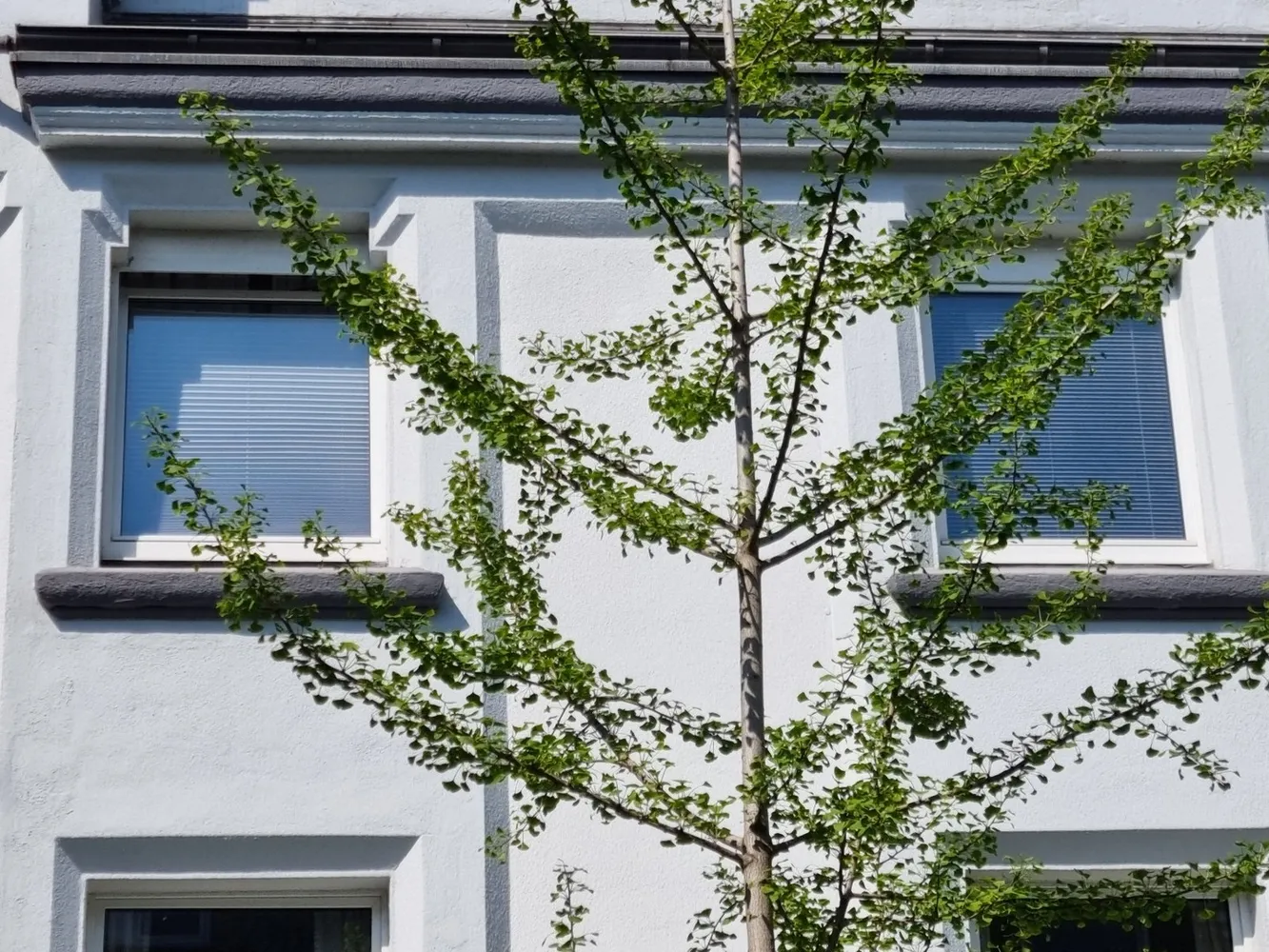 2 Zimmer Wohnung mit 41 m² in Duisburg – Bild 2