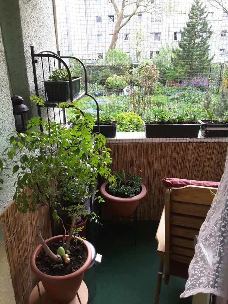 2 Zimmer Wohnung mit 59 m² in Köln – Bild 6