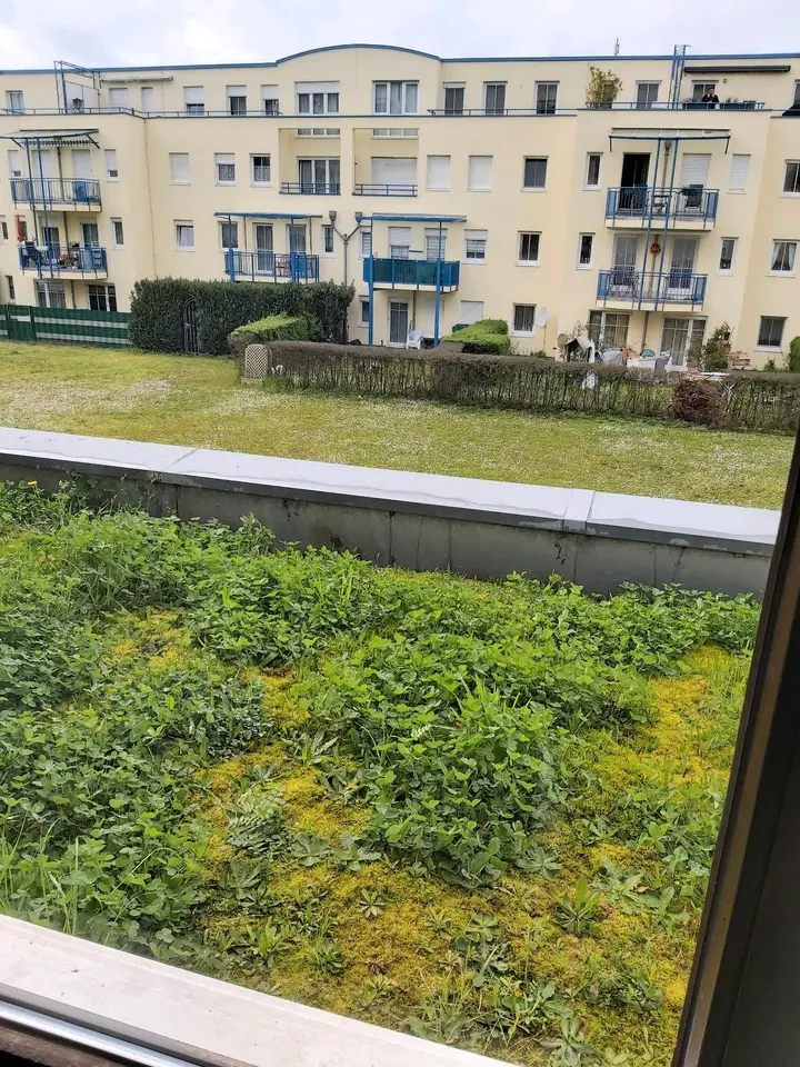 WG-Zimmer mit 60 m² in Karlsruhe – Bild 5