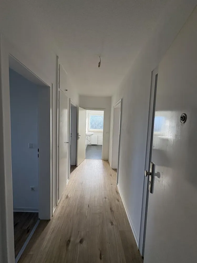 3 Zimmer Wohnung mit 66 m² in Celle – Bild 2