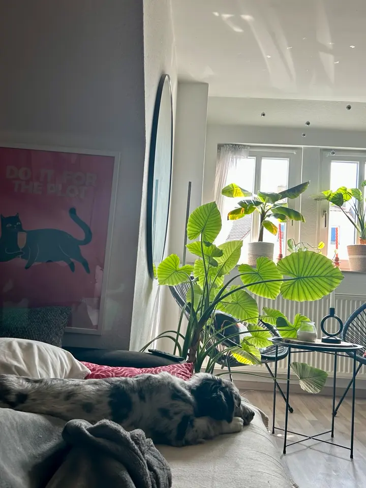 2 Zimmer Wohnung mit 65 m² in Leipzig – Bild 4