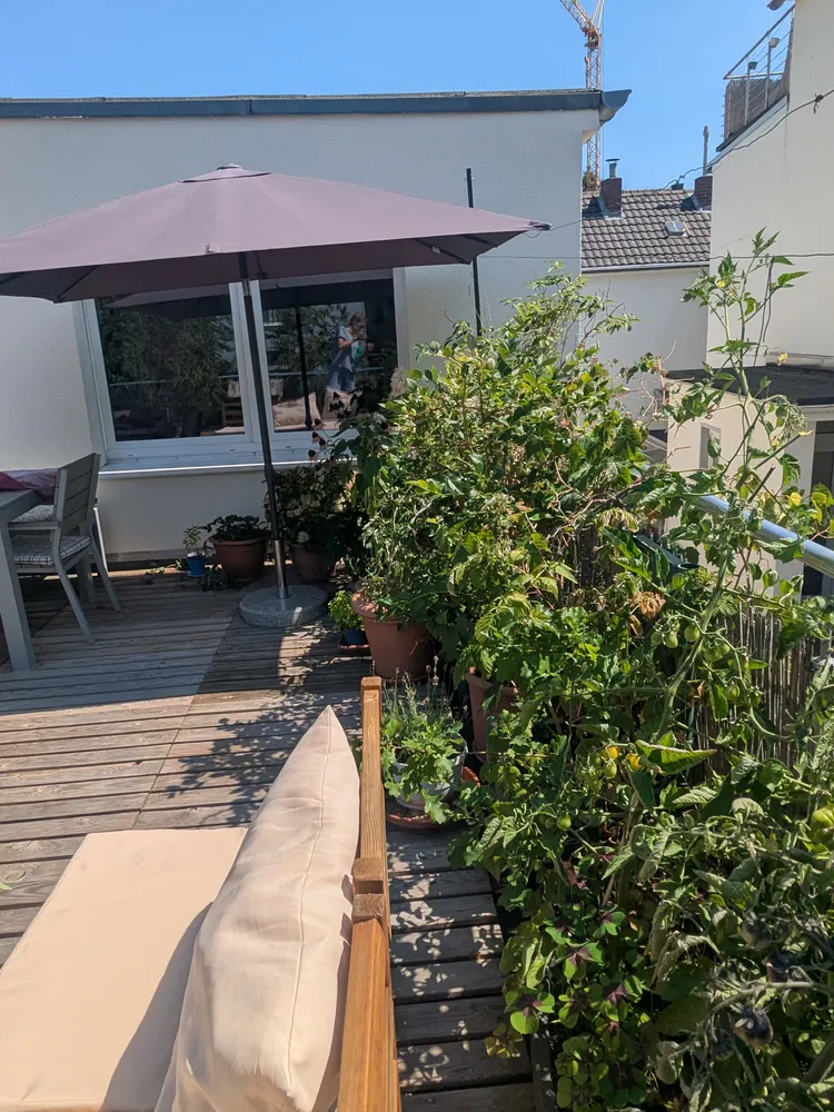 3 Zimmer Wohnung mit 91 m² in Bonn – Bild 3