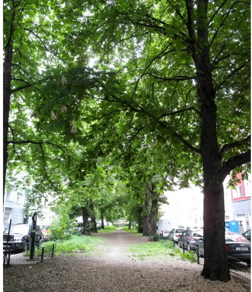1 Zimmer Wohnung mit 37 m² in Berlin – Bild 6