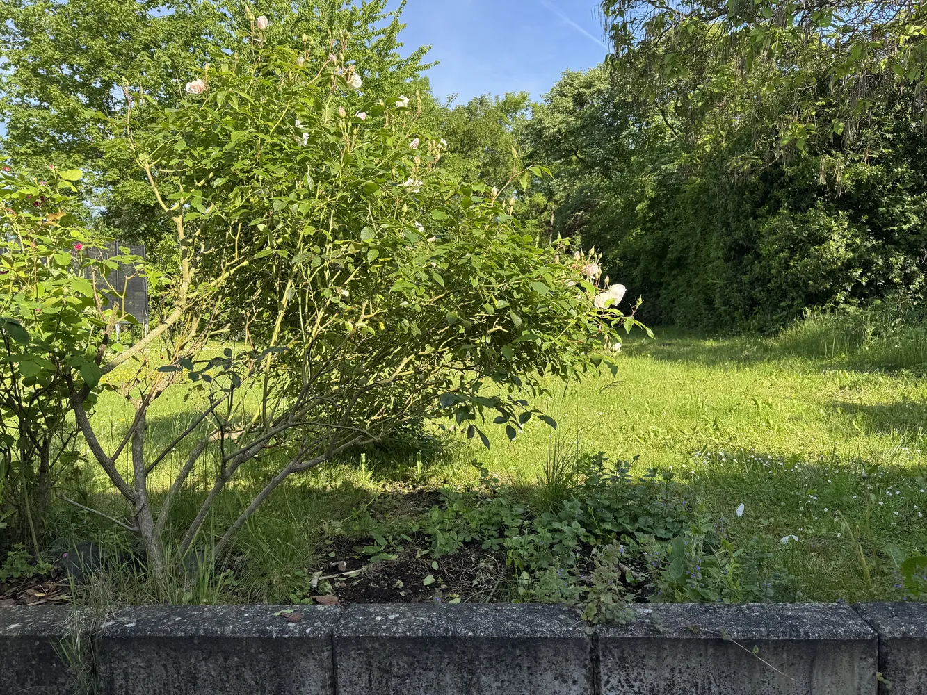 3 Zimmer Wohnung mit 80 m² in Bonn – Bild 1