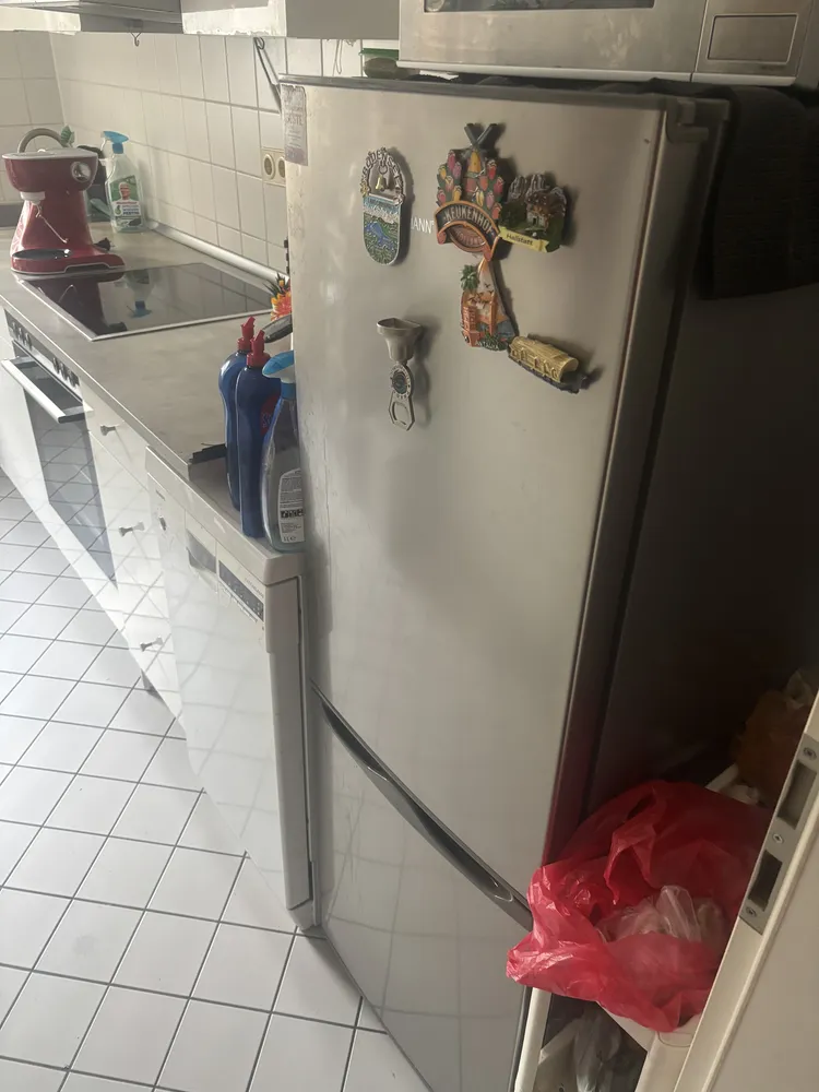 2 Zimmer Wohnung mit 67 m² in Dresden – Bild 3