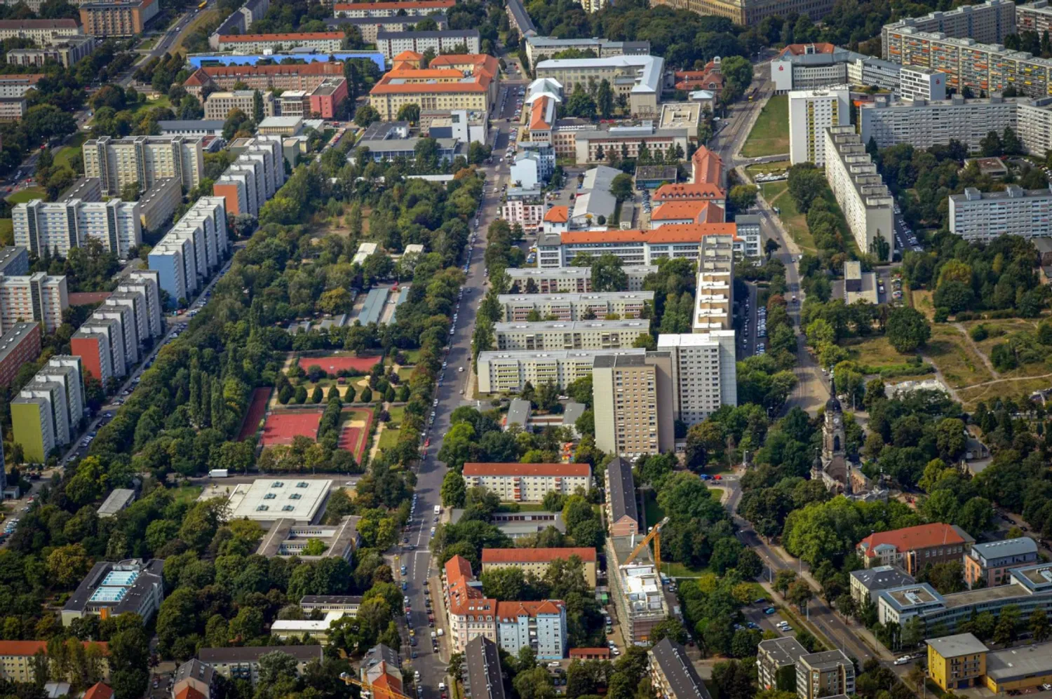 2 Zimmer Wohnung mit 80 m² in Dresden – Bild 2