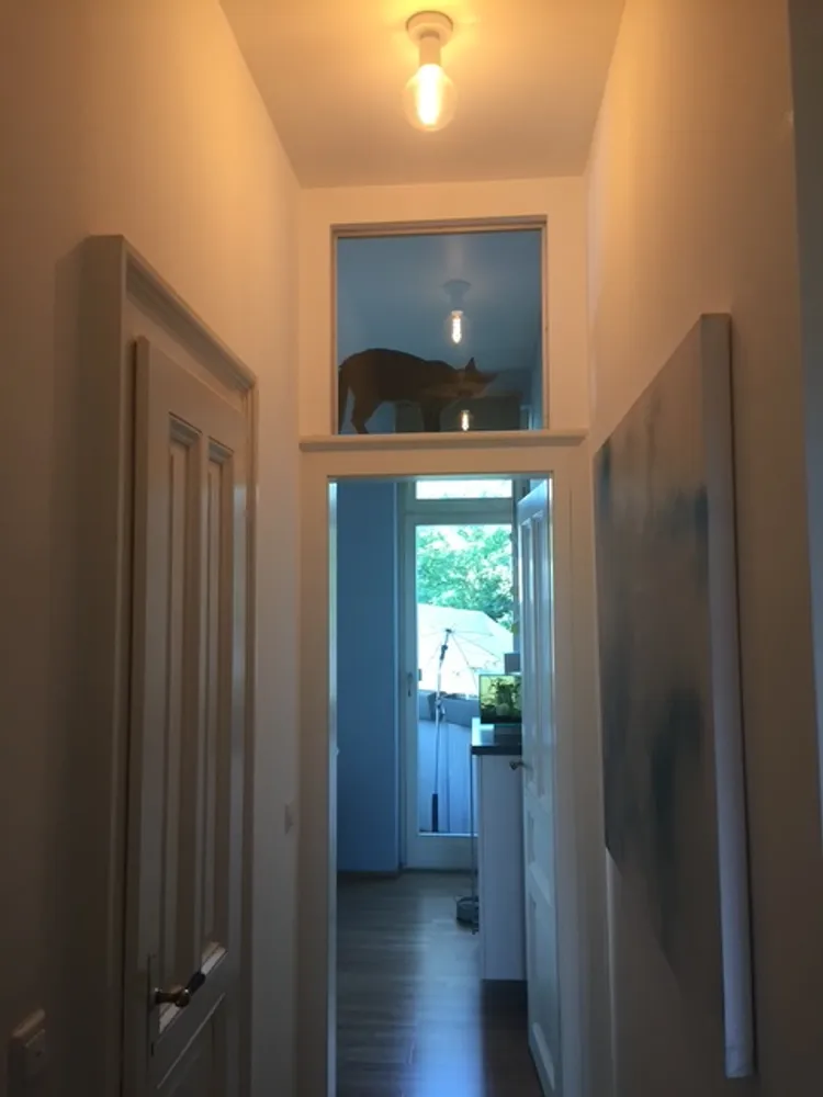1 room apartment with 18 m² in Frankfurt am Main – Photo 11