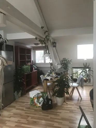 1 Zimmer Wohnung mit 50 m² in Aachen – Bild 5